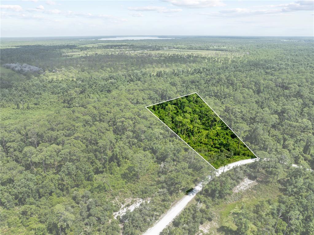 An aerial view shows a rectangular plot of land outlined in white amidst dense forest — 2641 BEAR RUN S, FROSTPROOF, FL