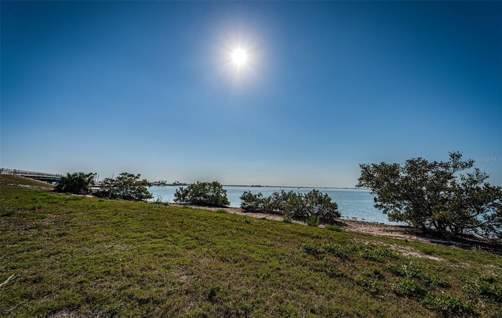A grassy shoreline with scattered bushes overlooks a calm body of water under a bright sun — 2 CAUSEWAY BOULEVARD UNIT 208, DUNEDIN, FL