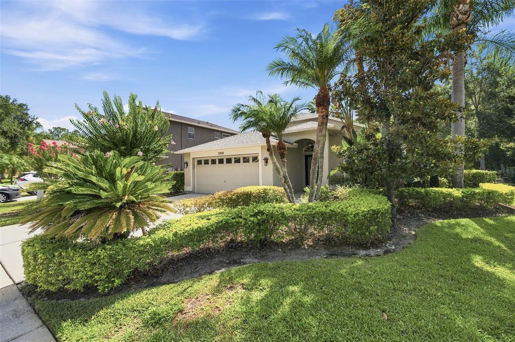 A single-story house with a two-car garage, palm trees, and manicured hedges in the front yard — 13108 ROYAL GEORGE AVE, ODESSA, FL