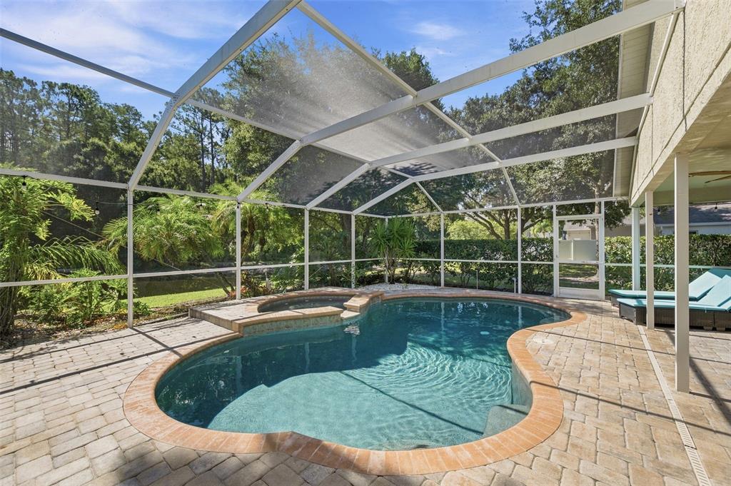 A screened-in pool and spa area with paver decking and a view of trees — 13108 ROYAL GEORGE AVE, ODESSA, FL