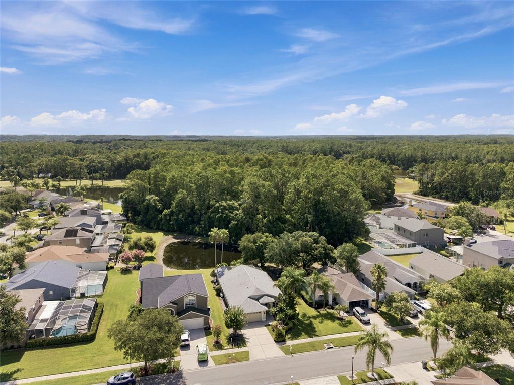 An aerial view of a suburban neighborhood featuring houses, a small pond, and surrounding woods — 13108 ROYAL GEORGE AVE, ODESSA, FL