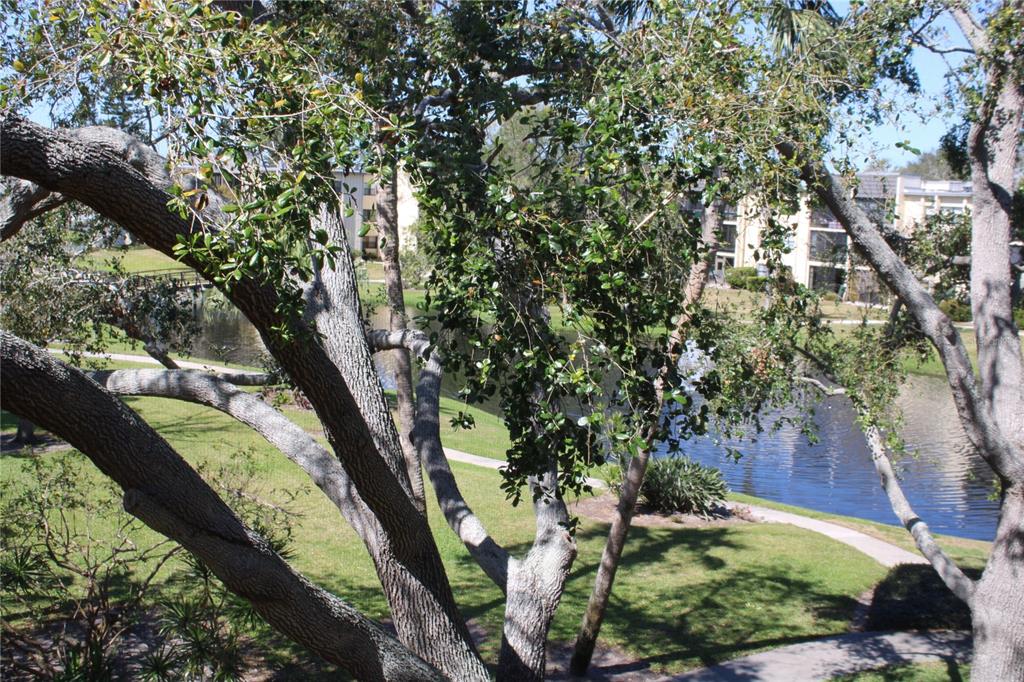 14130 ROSEMARY LANE UNIT 1305, LARGO, FL — photo 2 of 22