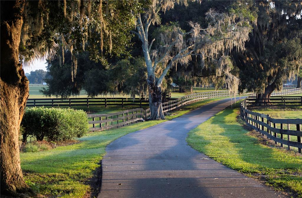 A paved driveway curves through a grassy field lined with wooden fences and oak trees — 12870 W HIGHWAY 40, OCALA, FL