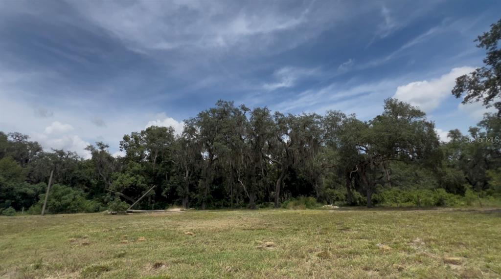 A grassy, open field sits in front of a dense line of mature oak trees — 106 PLANET DR, CRESCENT CITY, FL