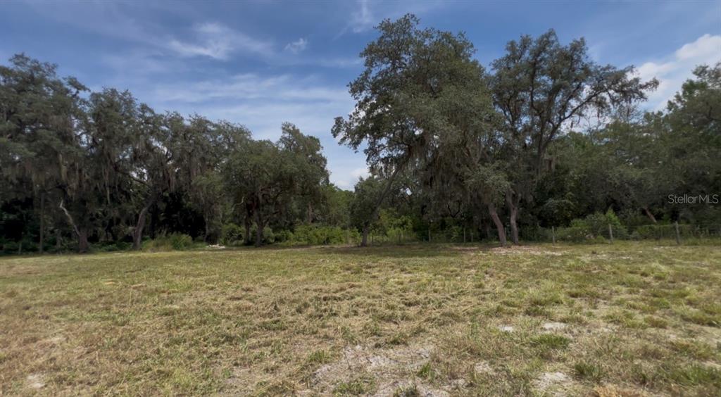 A wide, grassy lot features several large, mature oak trees under a blue sky — 106 PLANET DR, CRESCENT CITY, FL