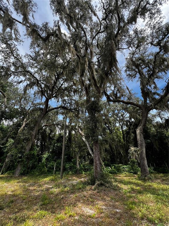 Large oak trees with Spanish moss stand over a grassy, wooded lot — 106 PLANET DR, CRESCENT CITY, FL