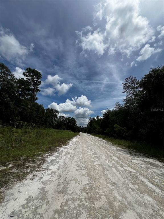 A dirt road stretches between grassy banks and trees under a cloudy blue sky — 106 PLANET DR, CRESCENT CITY, FL