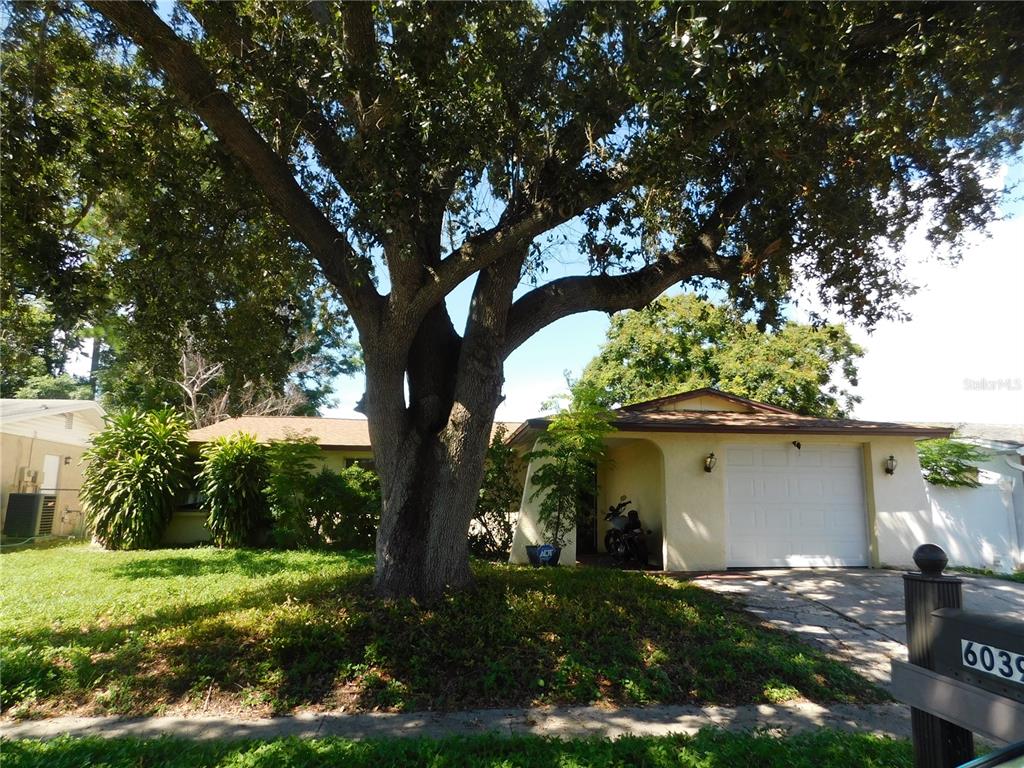 6039 7TH AVENUE, NEW PORT RICHEY, FL — photo 2 of 30