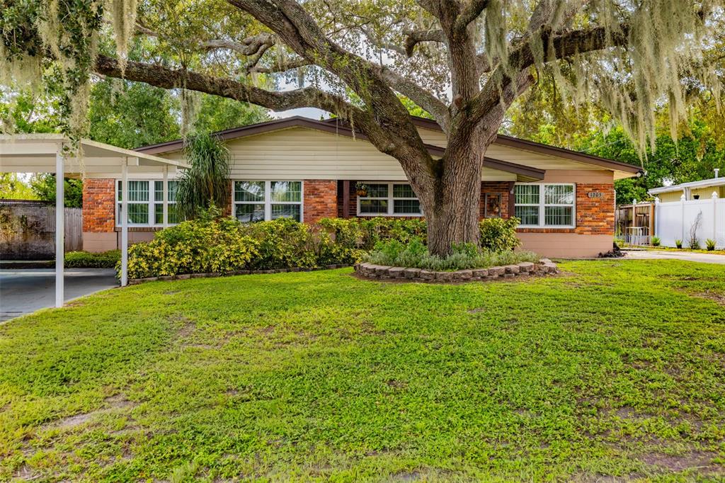 A single-story brick and siding house features a large oak tree in the front yard — 1205 W CAMELLIA DRIVE, BRANDON, FL