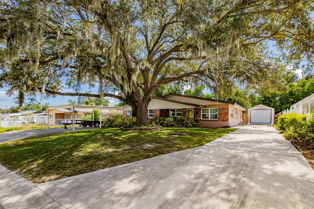 A single-story house with a large oak tree, a carport, and a detached garage — 1205 W CAMELLIA DRIVE, BRANDON, FL