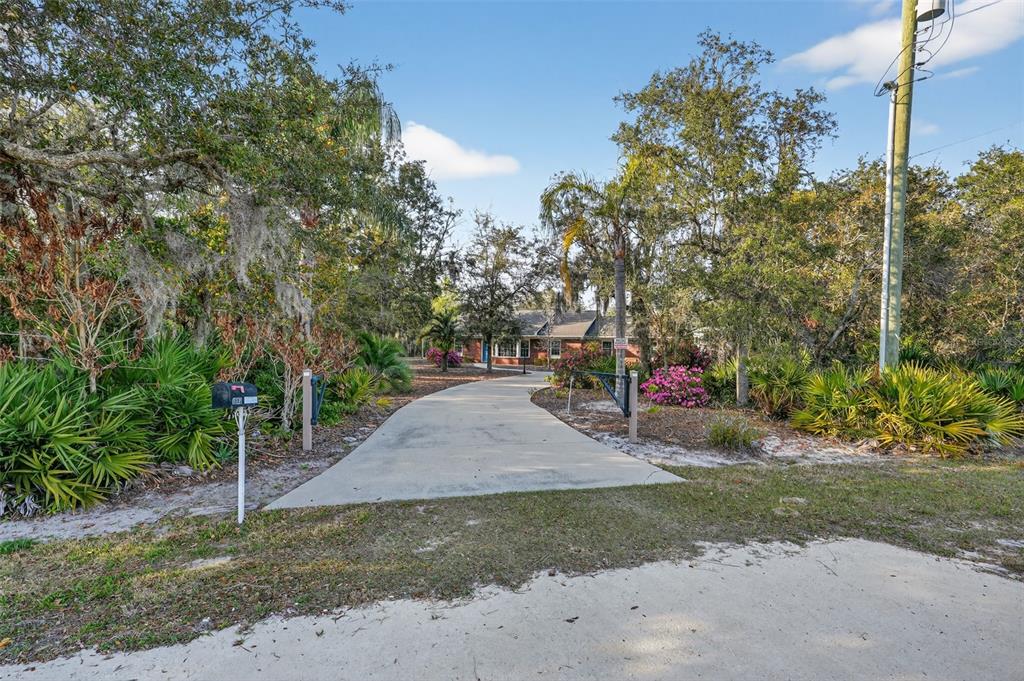 A concrete driveway leads through a wooded yard to a single-story brick house — 6365 WHIP O WILL LANE, ST CLOUD, FL