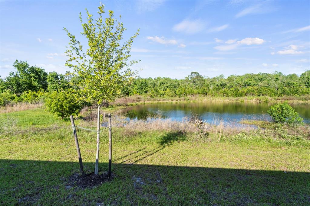A young tree stands in a grassy yard overlooking a pond and a wooded area — 4224 SAGEFIELD DRIVE, HARMONY, FL