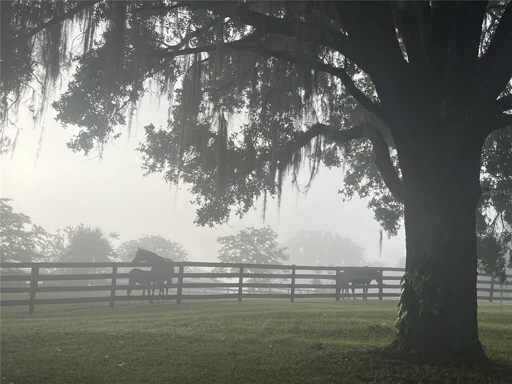 8001 SE 7TH AVENUE ROAD, OCALA, FL — photo 2 of 30