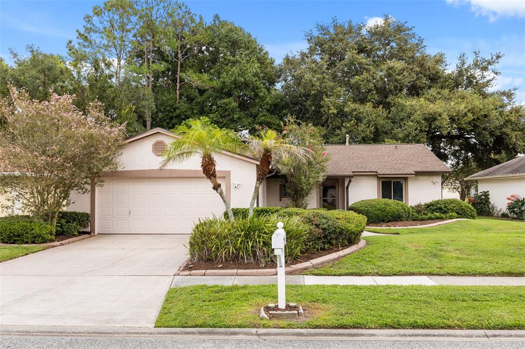 A single-story house with a two-car garage, palm trees, and a landscaped front yard — 11813 SCOTTY DRIVE, ORLANDO, FL