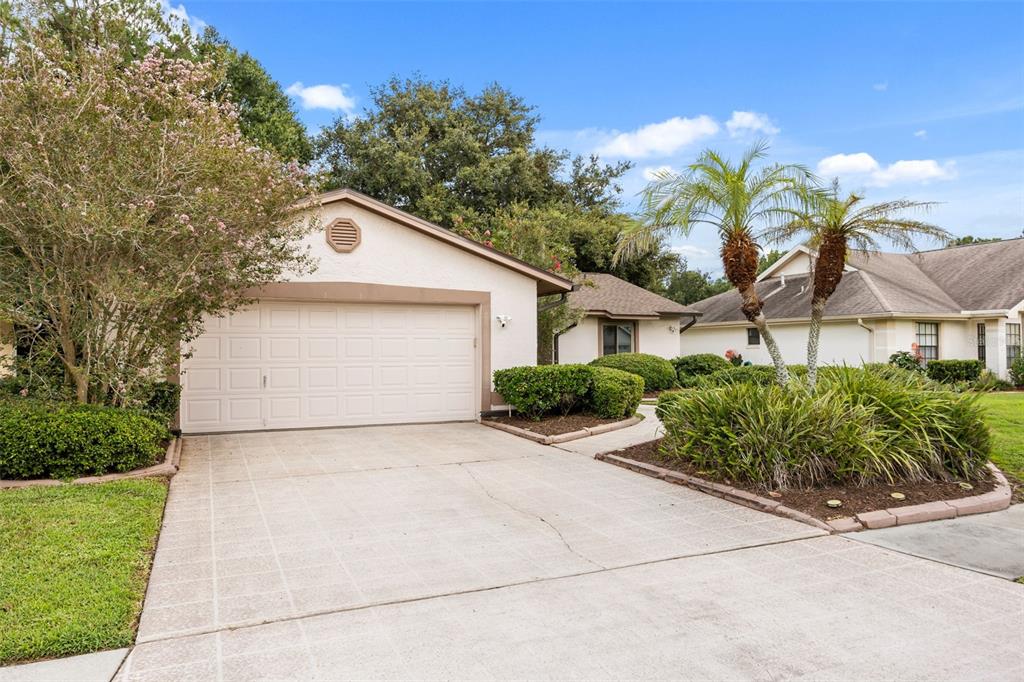 A single-story house with a two-car garage, a concrete driveway, and palm trees — 11813 SCOTTY DRIVE, ORLANDO, FL