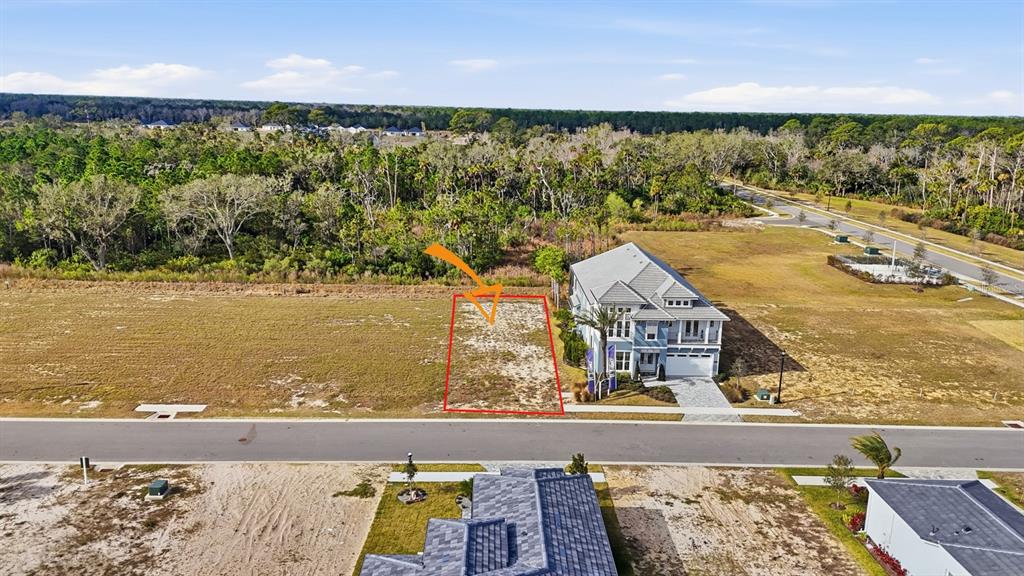 An aerial view shows a vacant residential lot outlined in red next to a house — 87 CORONADO ROAD, FLAGLER BEACH, FL