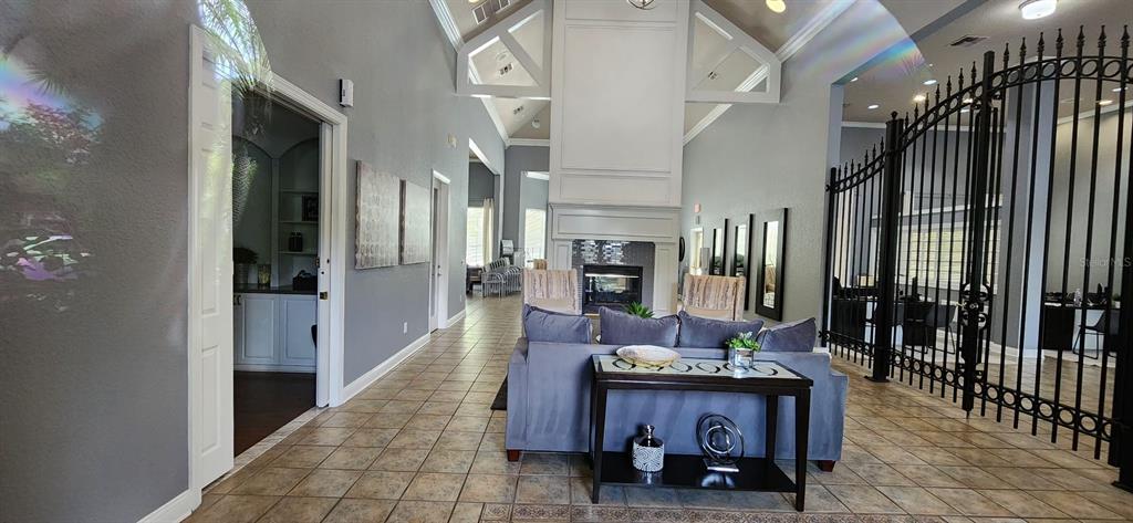 A living area features a gray sofa, a fireplace, and a black metal gate partition — 13015 SANCTUARY COVE DRIVE UNIT 203, TEMPLE TERRACE, FL