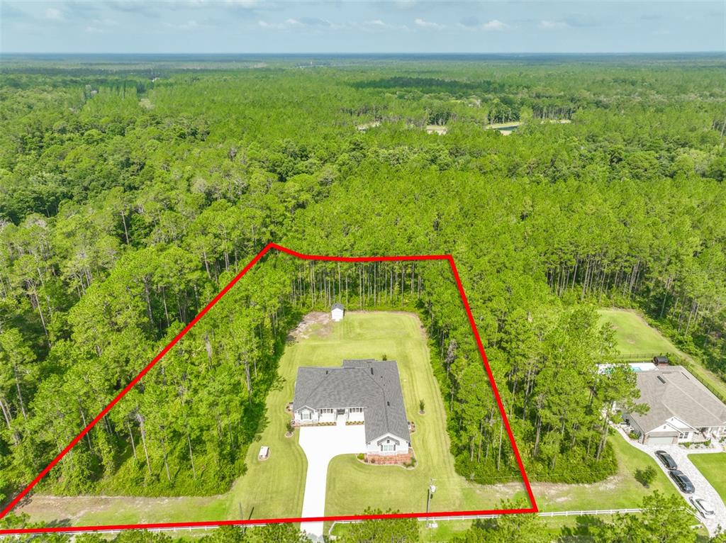 An aerial view shows a single-story house with a large backyard surrounded by dense forest — 2505 CABBAGE HAMMOCK ROAD, ST AUGUSTINE, FL