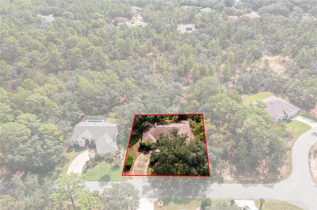 31 MAYFLOWER COURT S, HOMOSASSA, FL — photo 4 of 30