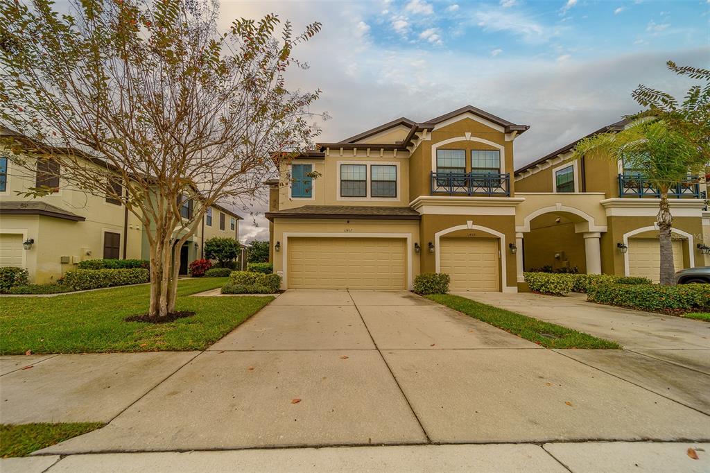 11437 CROWNED SPARROW LANE