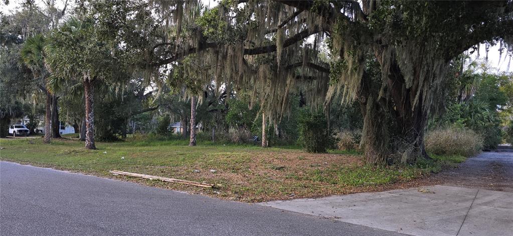 A vacant, grassy lot features several large oak trees draped with Spanish moss — E 11TH STREET, SANFORD, FL