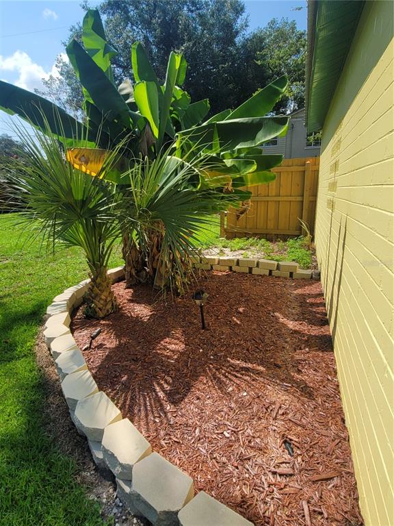 A yellow exterior wall borders a mulched garden bed containing a palm and banana tree — 962 NE 5TH STREET, OCALA, FL