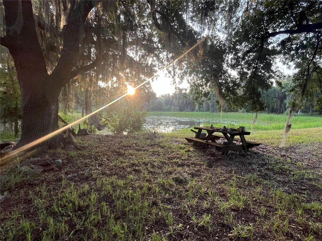 A grassy backyard features a small pond surrounded by mature trees and palm trees — 32801 441 HIGHWAY N UNIT 287, OKEECHOBEE, FL