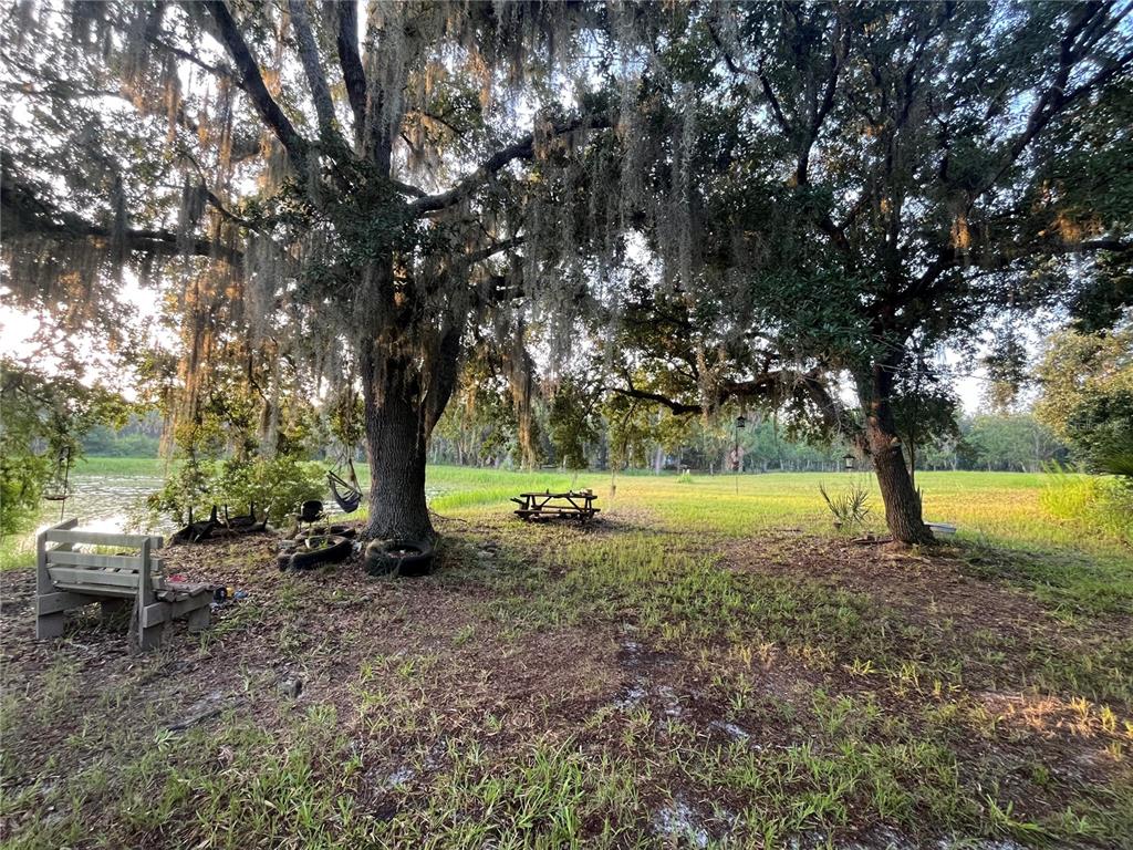 A small pond with lily pads is surrounded by grass and trees under a blue sky — 32801 441 HIGHWAY N UNIT 287, OKEECHOBEE, FL