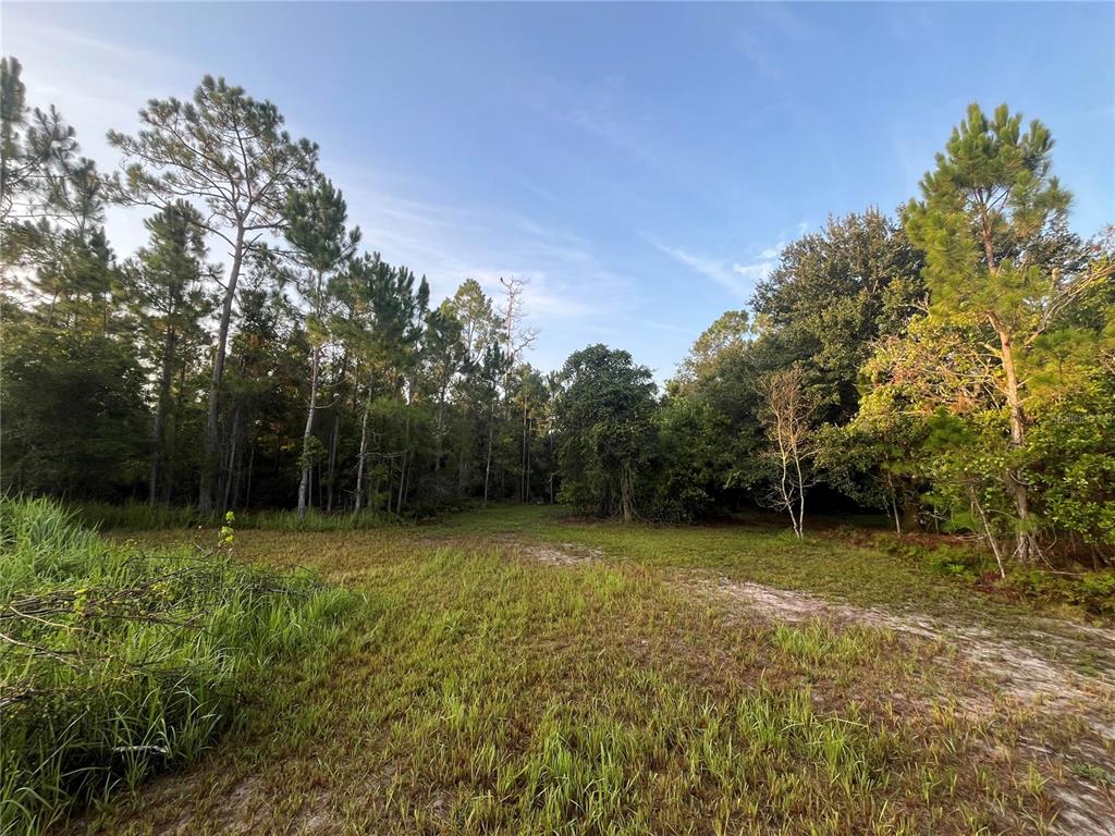 A grassy yard with large oak trees, a wooden bench, and a picnic table near water — 32801 441 HIGHWAY N UNIT 287, OKEECHOBEE, FL
