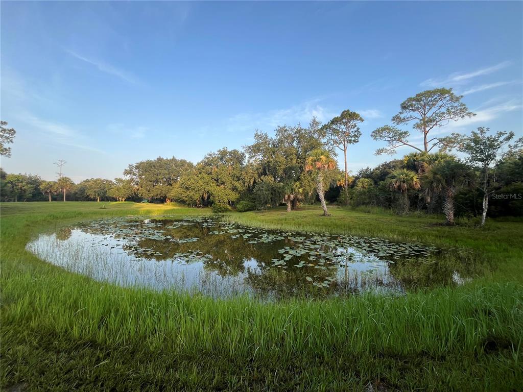 A large oak tree with Spanish moss stands in a grassy field at sunset — 32801 441 HIGHWAY N UNIT 287, OKEECHOBEE, FL