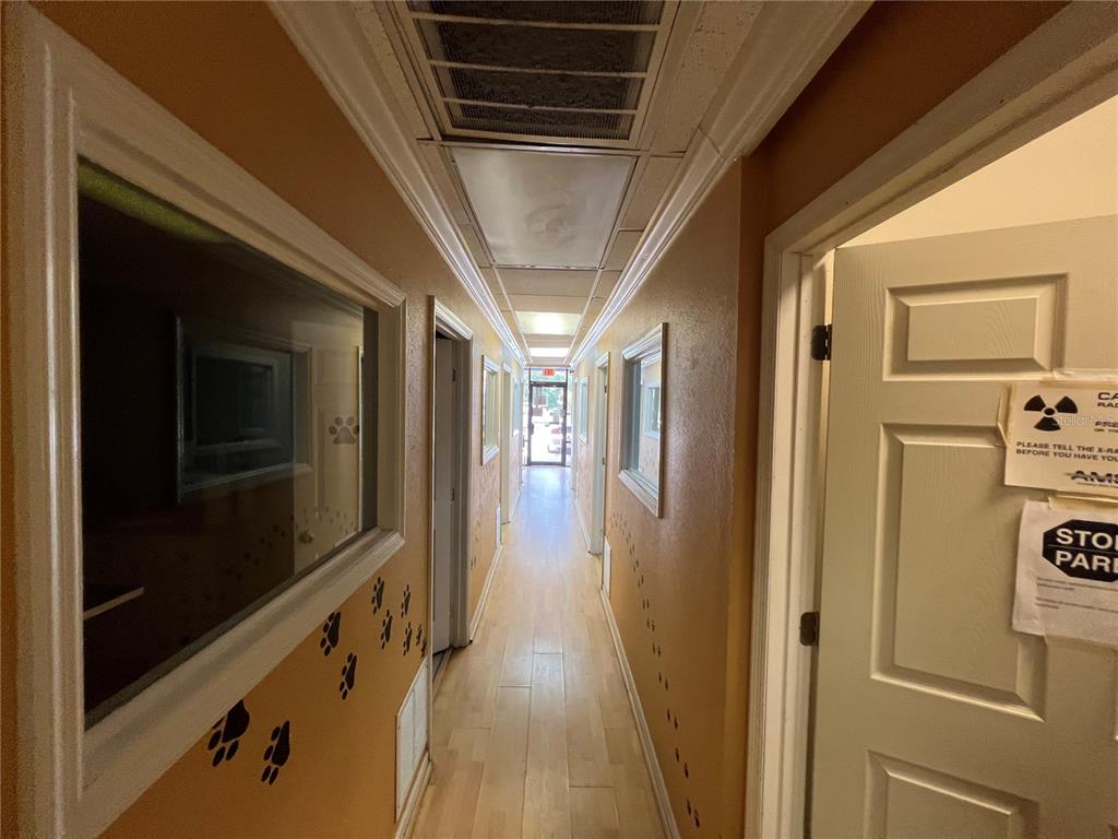 A narrow hallway with light wood flooring, tan walls, and decorative paw print decals — 1810 STATE ROAD 436, WINTER PARK, FL
