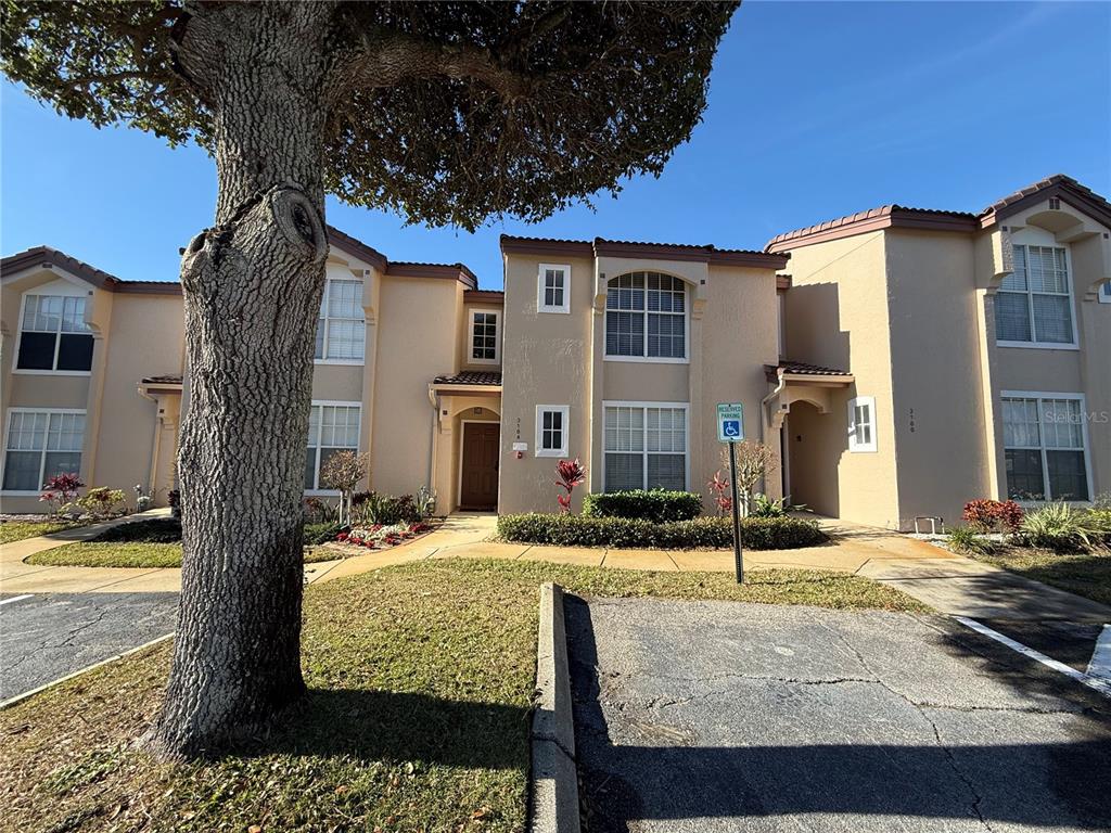 A two-story tan stucco townhouse with a large tree in the foreground — 3164 TAMARIND CIRCLE, KISSIMMEE, FL