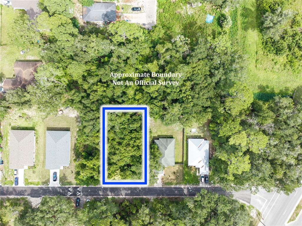 An aerial view shows a rectangular, wooded vacant lot outlined in blue along a road — 319 SE 20TH STREET, GAINESVILLE, FL