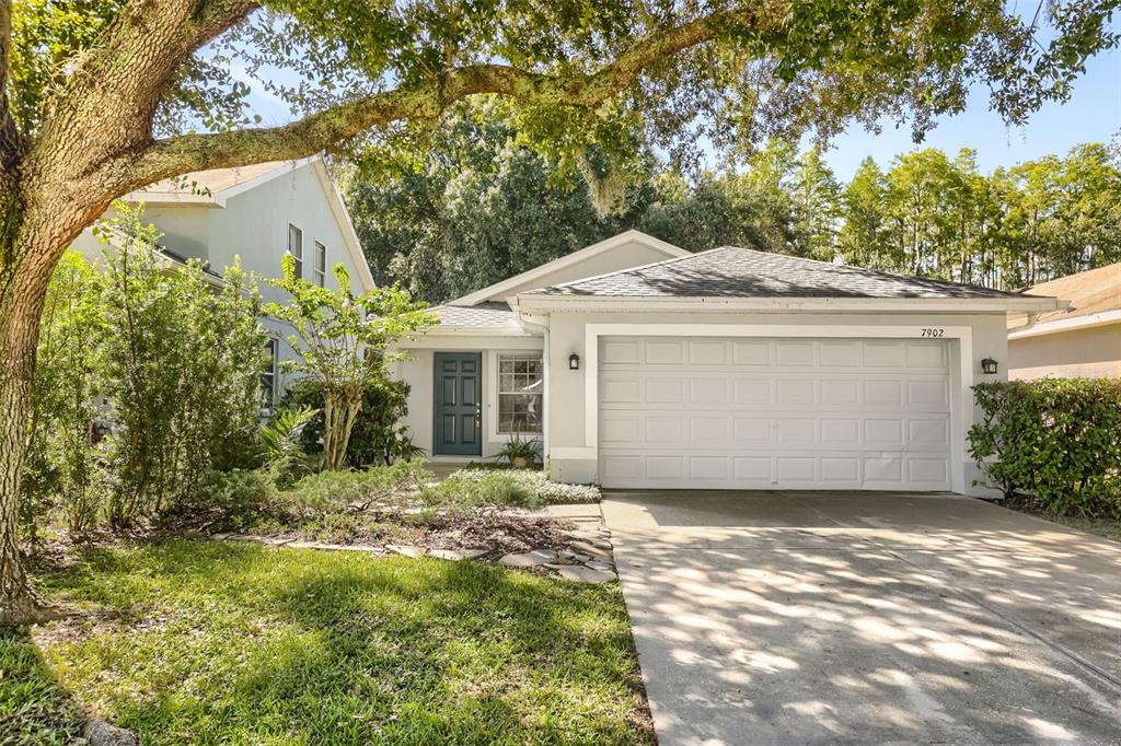 7902 CITRUS BLOSSOM DRIVE