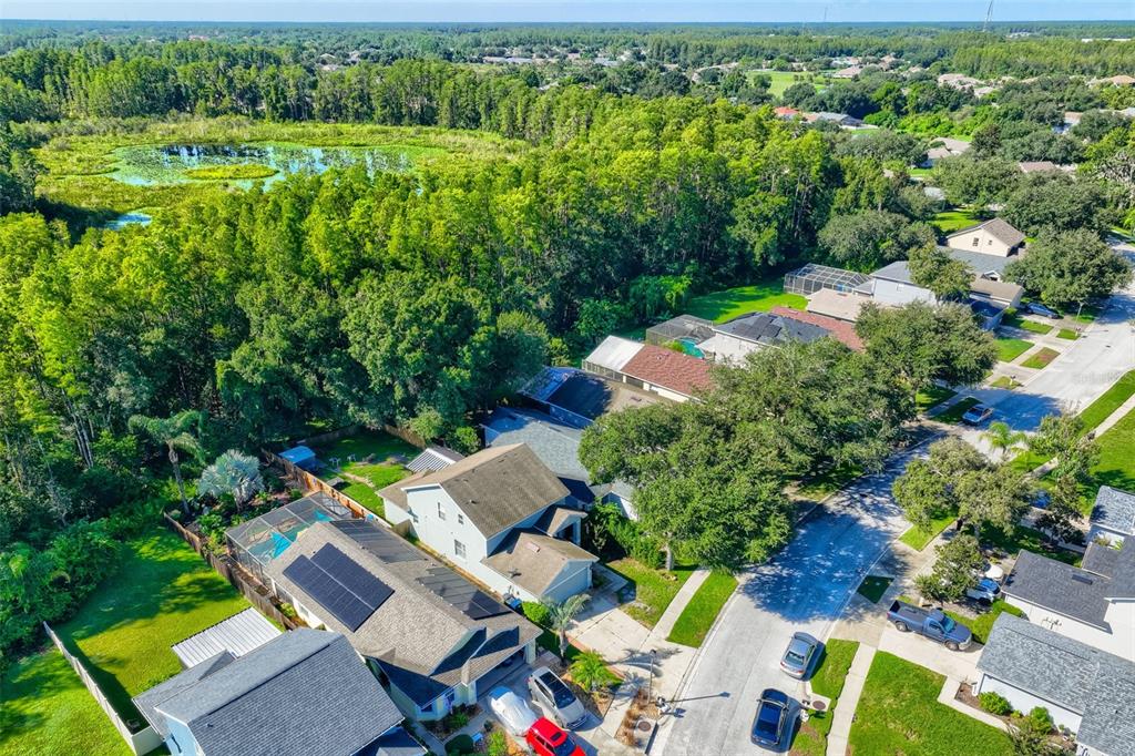 7902 CITRUS BLOSSOM DRIVE, LAND O LAKES, FL — photo 2 of 30