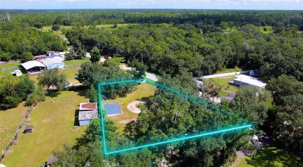 An aerial view shows a rectangular lot outlined in blue, featuring trees and small structures — 1550 S TANNER ROAD, ORLANDO, FL