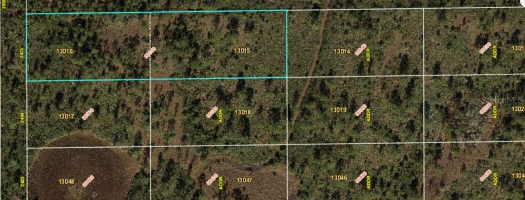 This aerial map shows a grid of undeveloped, wooded land parcels with a highlighted rectangular lot — 2473 DILL ROAD, ORLANDO, FL