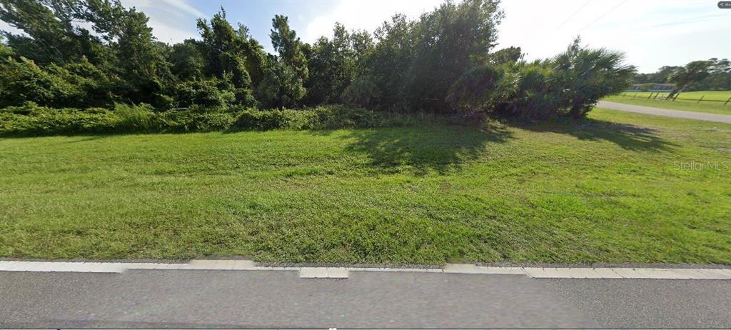 A vacant, grassy lot is bordered by dense trees and shrubs along a paved road — 2473 DILL ROAD, ORLANDO, FL