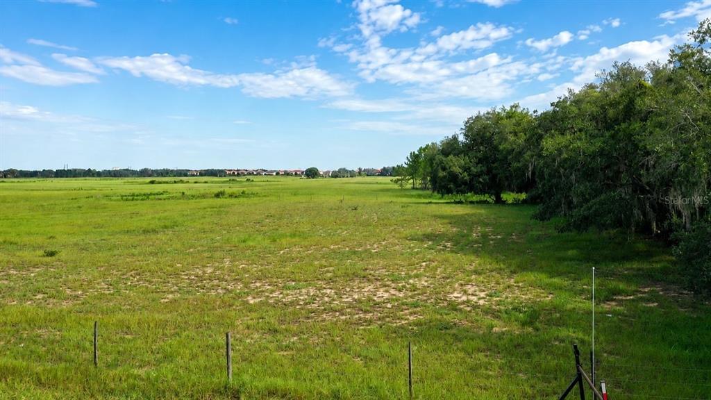 A wide, grassy field stretches toward a distant tree line under a bright blue sky — BOWEN ROAD, DAVENPORT, FL