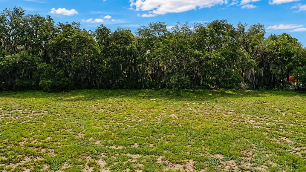 A grassy, open lot is bordered by a dense line of mature trees — BOWEN ROAD, DAVENPORT, FL