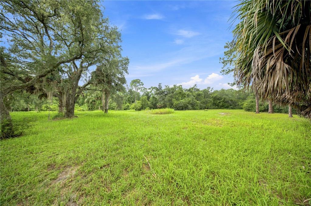 15470 NE HIGHWAY 314, SILVER SPRINGS, FL — photo 5 of 30