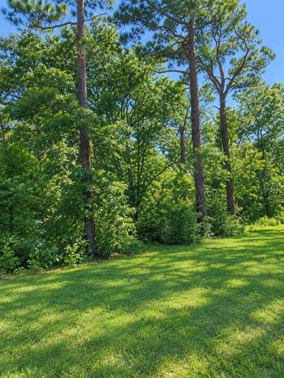 A wooded lot with scattered dry leaves and vegetation under an overcast sky — 7360 W DUNNELLON ROAD, DUNNELLON, FL