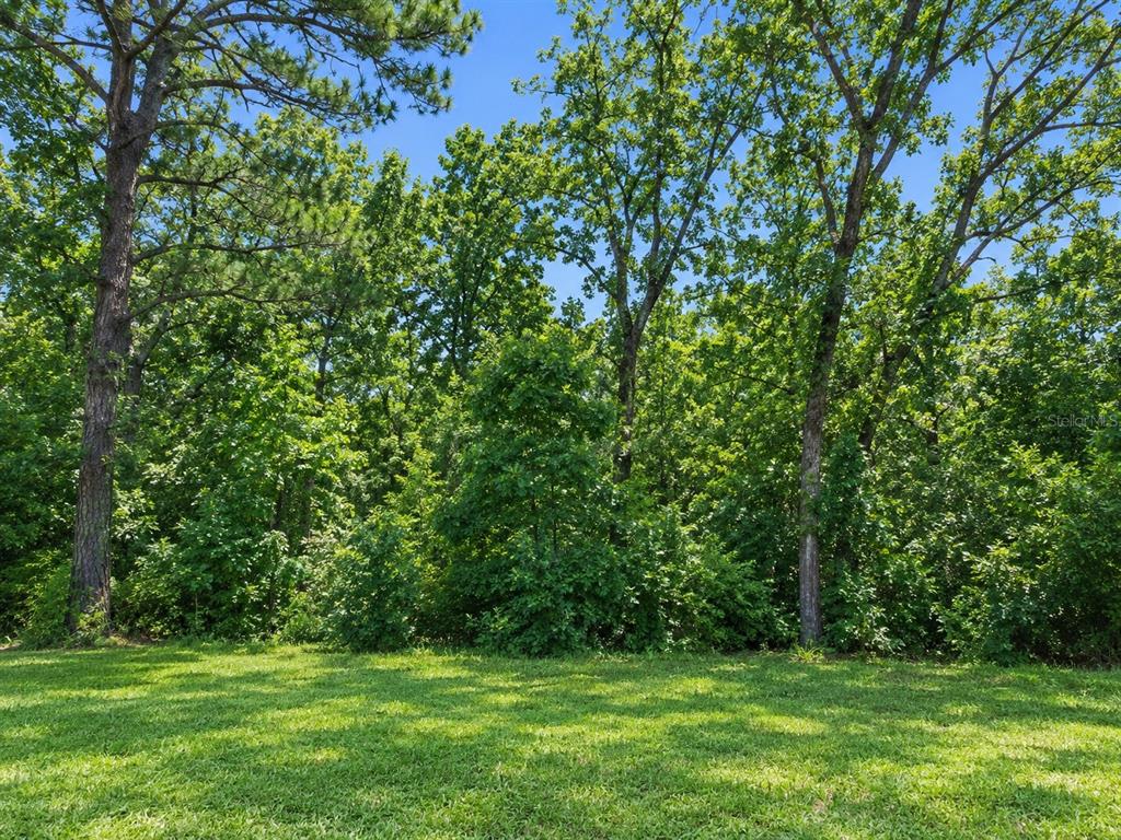 A view of a wooded, undeveloped lot with scattered pine needles and dense vegetation — 7360 W DUNNELLON ROAD, DUNNELLON, FL