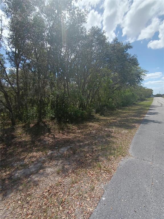 A paved road runs alongside a wooded lot with dense trees and sandy ground — 429 NAPLES COURT, KISSIMMEE, FL