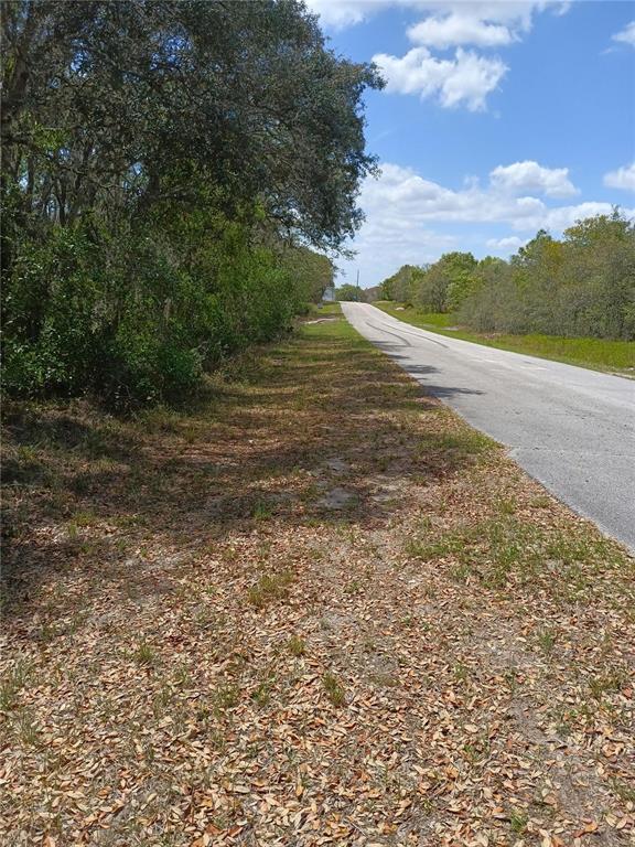 A paved road runs alongside a grassy, leaf-covered shoulder bordered by trees and brush — 429 NAPLES COURT, KISSIMMEE, FL