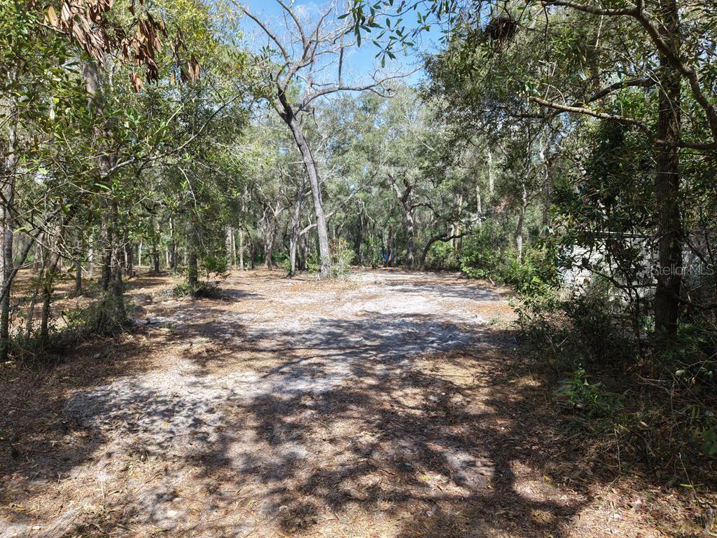 8211 NW 168TH LANE, TRENTON, FL — photo 4 of 9