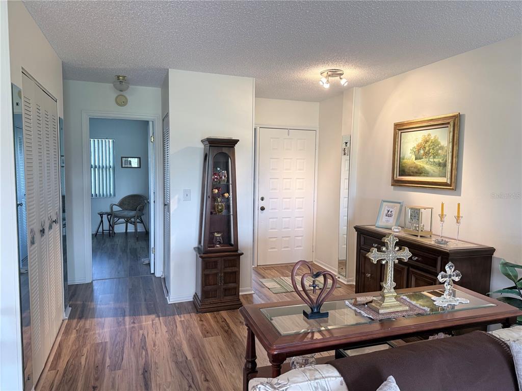 An entryway features wood-look flooring, a glass display cabinet, a console table, and a front door — 2417 LOCKSLEY STREET UNIT 229, SUN CITY CENTER, FL