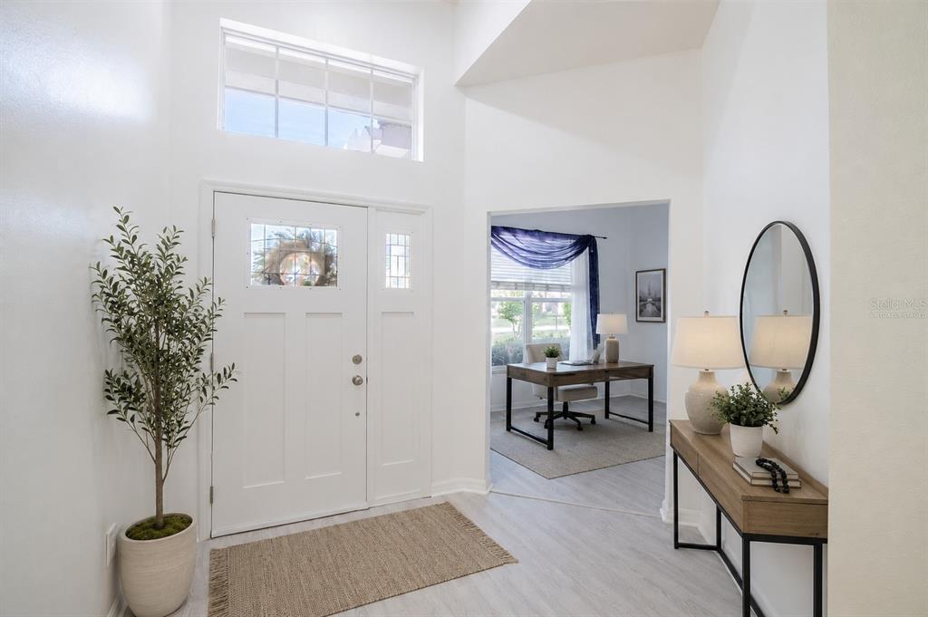 A bright entryway features a white front door, a potted tree, and a console table — 4810 WATER LARK WAY, VALRICO, FL