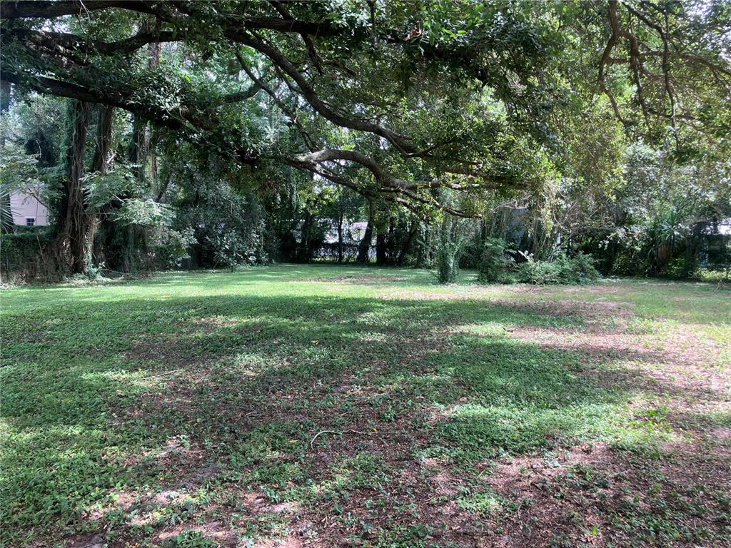 2013 LIVE OAK DRIVE, FRUITLAND PARK, FL — photo 3 of 11
