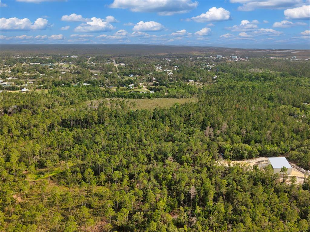 An aerial view shows a large, wooded lot with a small building in the corner — SAVANNA LANE, STEINHATCHEE, FL